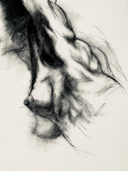 Ian Hornak, Renaissance Female Nude Figure Study, 1963, Original Drawing