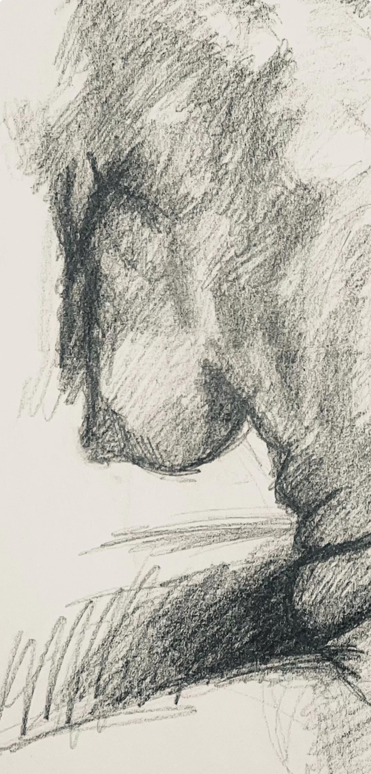 Ian Hornak, Renaissance Female Nude Figure Study, 1963, Original Drawing