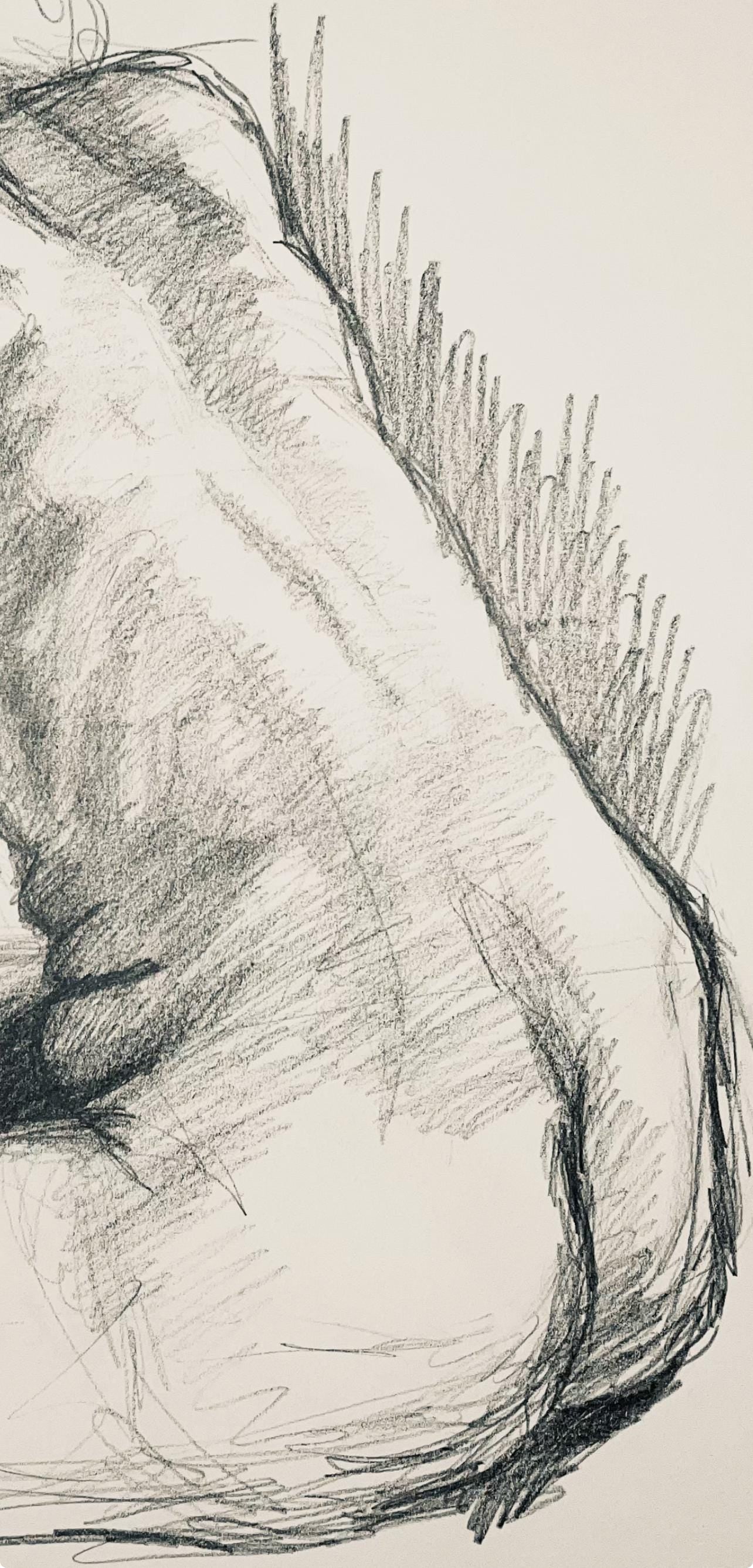 Ian Hornak, Renaissance Female Nude Figure Study, 1963, Original Drawing