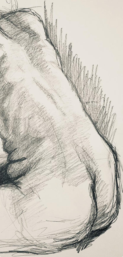 Ian Hornak, Renaissance Female Nude Figure Study, 1963, Original Drawing