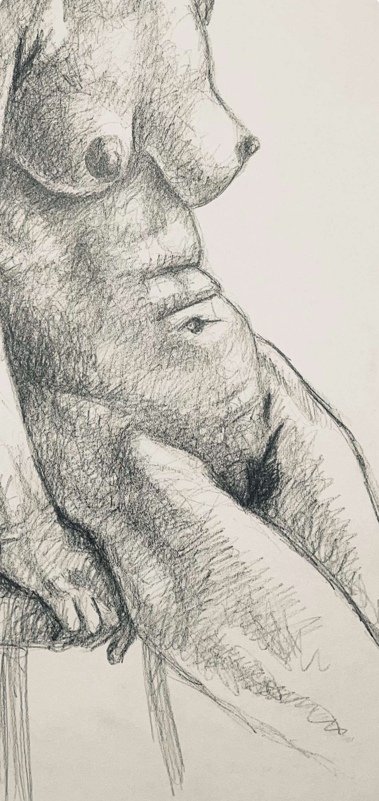 Ian Hornak, Renaissance Female Nude Figure Study, 1963, Original Drawing