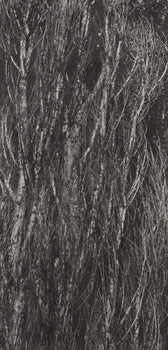 Alfred Stieglitz, Poplars, Lake George, Alfred Stieglitz Memorial Portfolio 1864-1946, Halftone