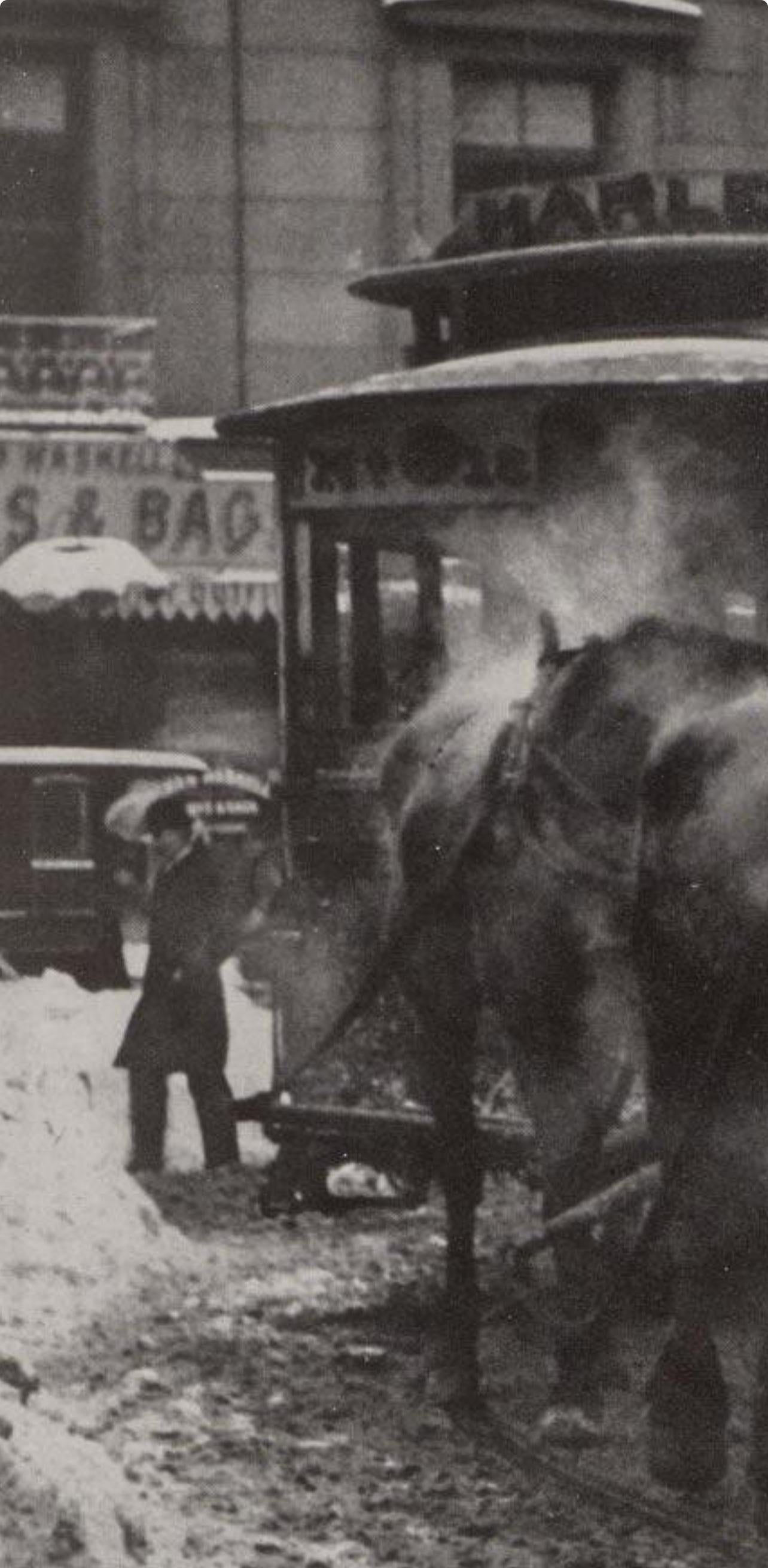 Alfred Stieglitz, The Terminal, Alfred Stieglitz Memorial Portfolio 1864-1946, Halftone Photograph