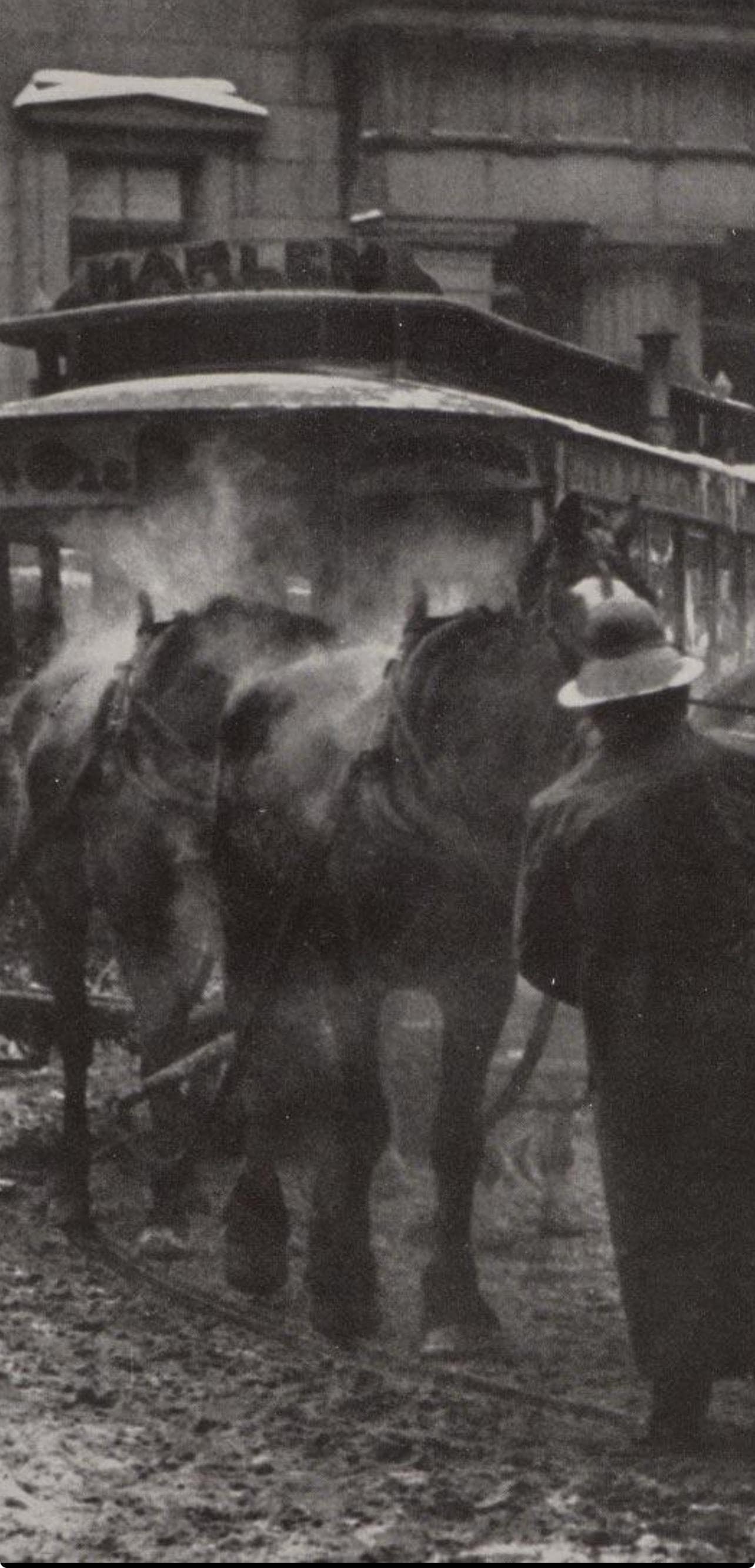 Alfred Stieglitz, The Terminal, Alfred Stieglitz Memorial Portfolio 1864-1946, Halftone Photograph