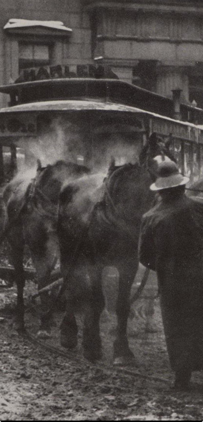 Alfred Stieglitz, The Terminal, Alfred Stieglitz Memorial Portfolio 1864-1946, Halftone Photograph