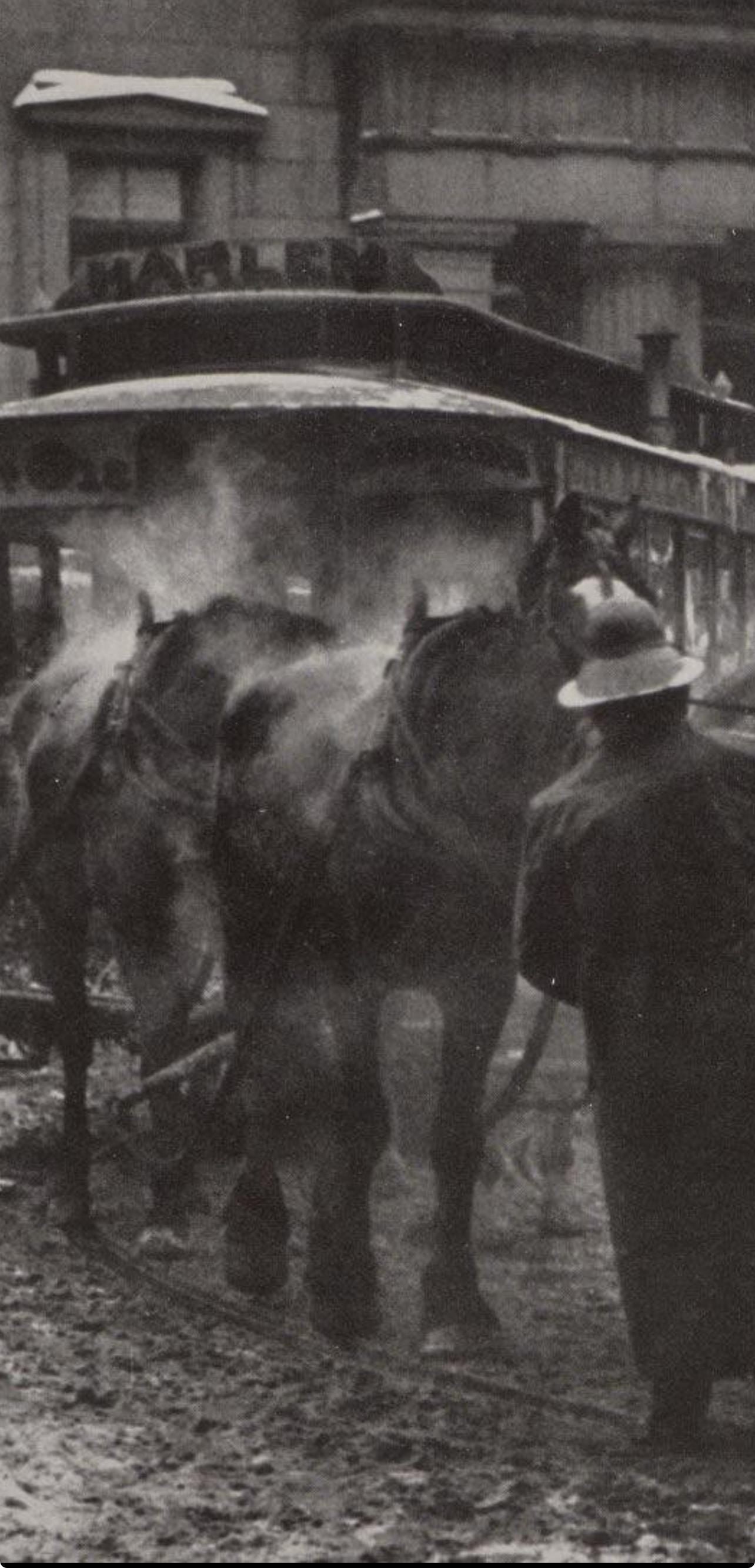 Alfred Stieglitz, The Terminal, Alfred Stieglitz Memorial Portfolio 1864-1946, Halftone Photograph