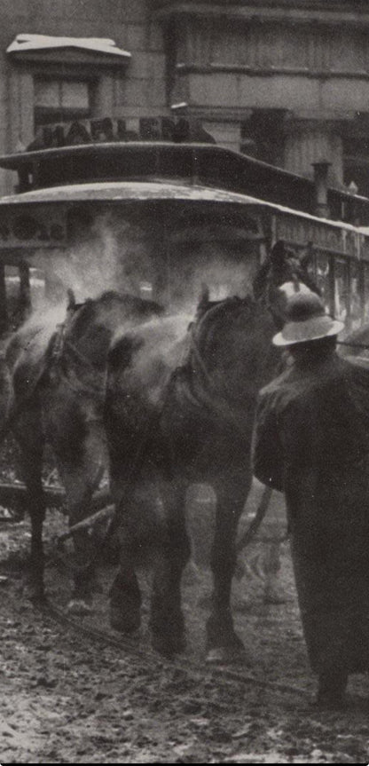 Alfred Stieglitz, The Terminal, Alfred Stieglitz Memorial Portfolio 1864-1946, Halftone Photograph