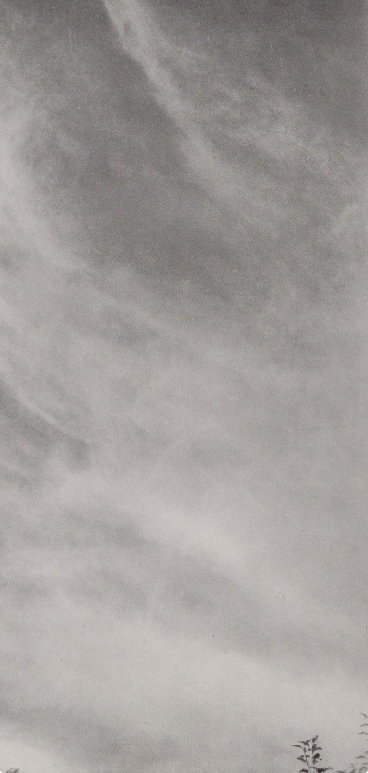 Alfred Stieglitz, Equivalent 27C, Alfred Stieglitz Memorial Portfolio 1864-1946, Halftone Photograph