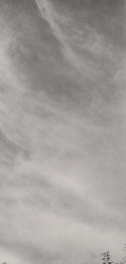 Alfred Stieglitz, Equivalent 27C, Alfred Stieglitz Memorial Portfolio 1864-1946, Halftone Photograph