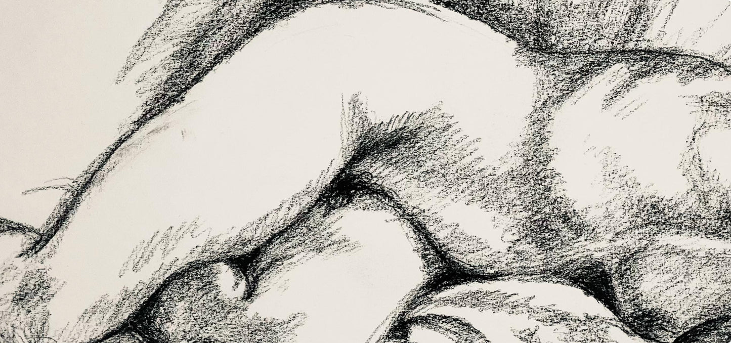 Ian Hornak, Renaissance Female Nude Figure Study, 1963, Original Drawing