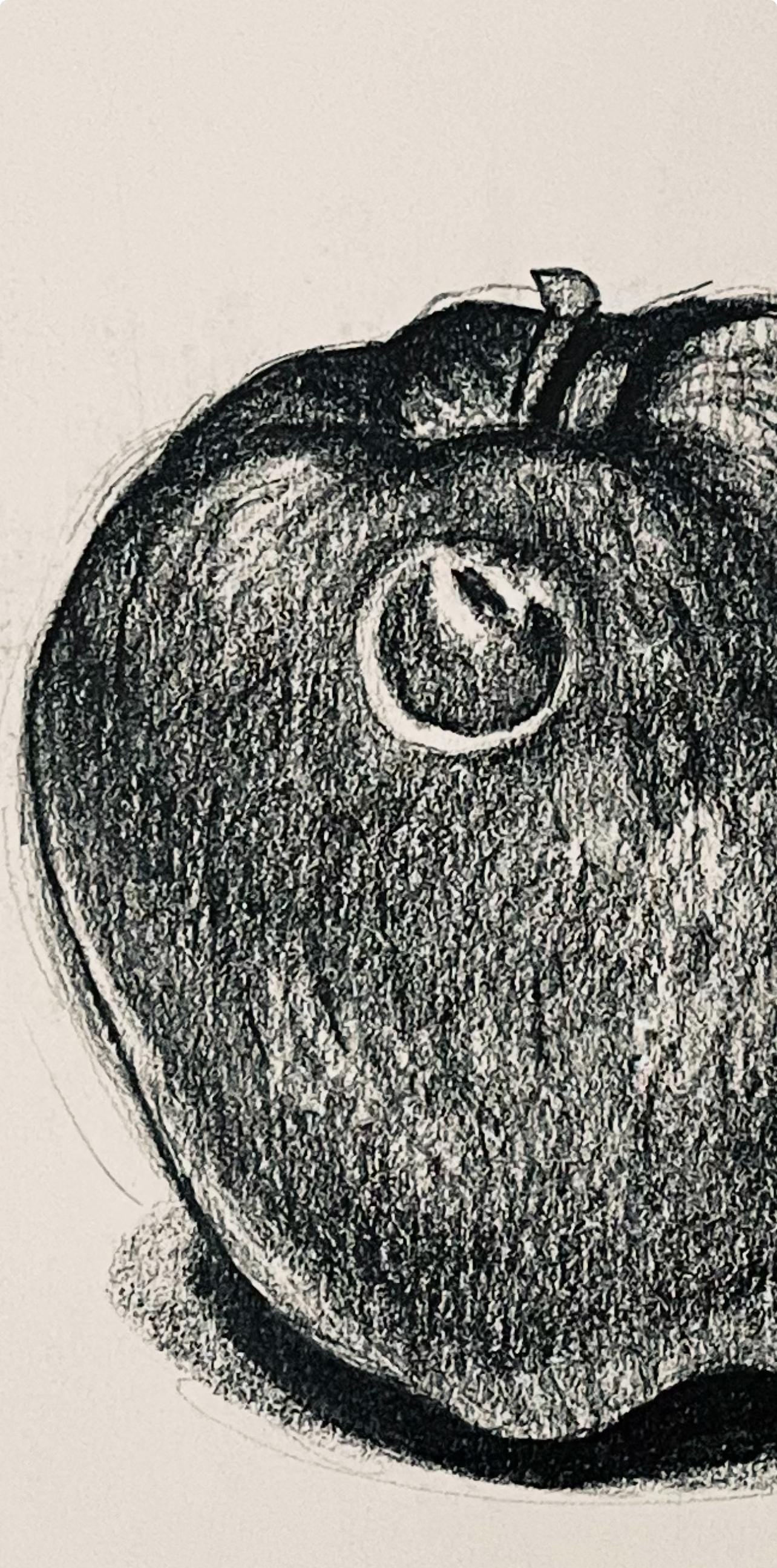 Ian Hornak, Apple Study, 1985, Original Drawing