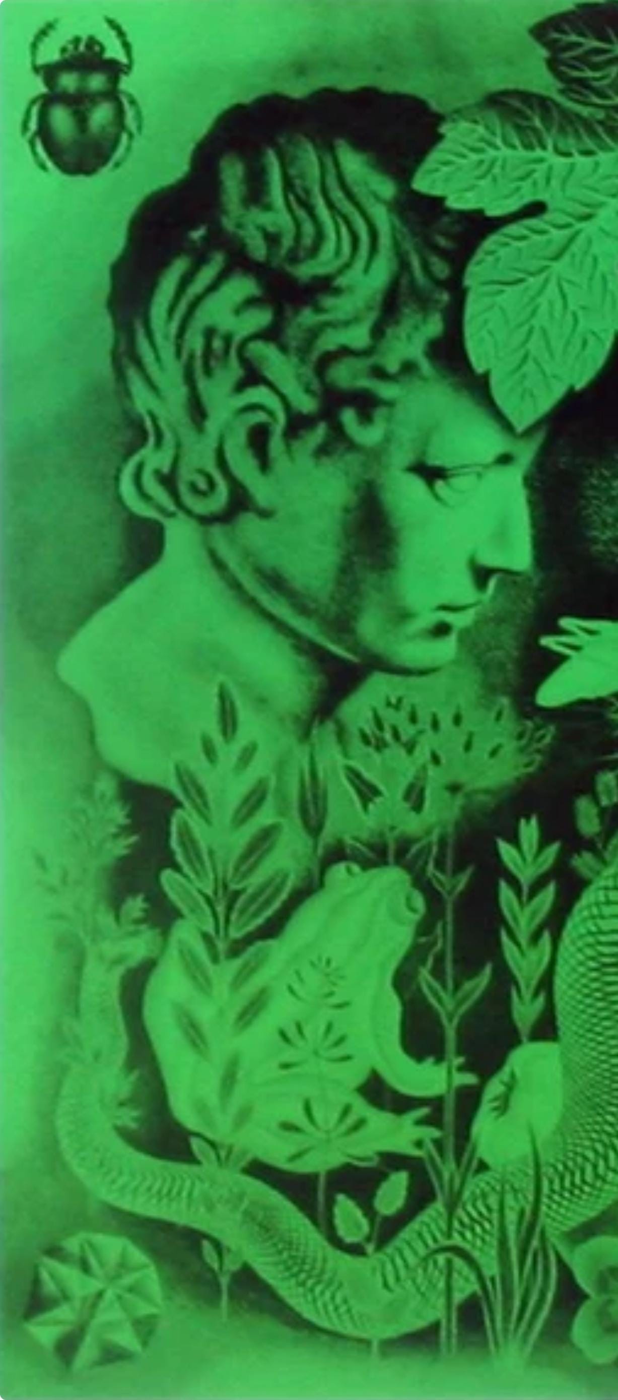 Victor Vasarely, Composition, Graphismes Ii, Hliogravure