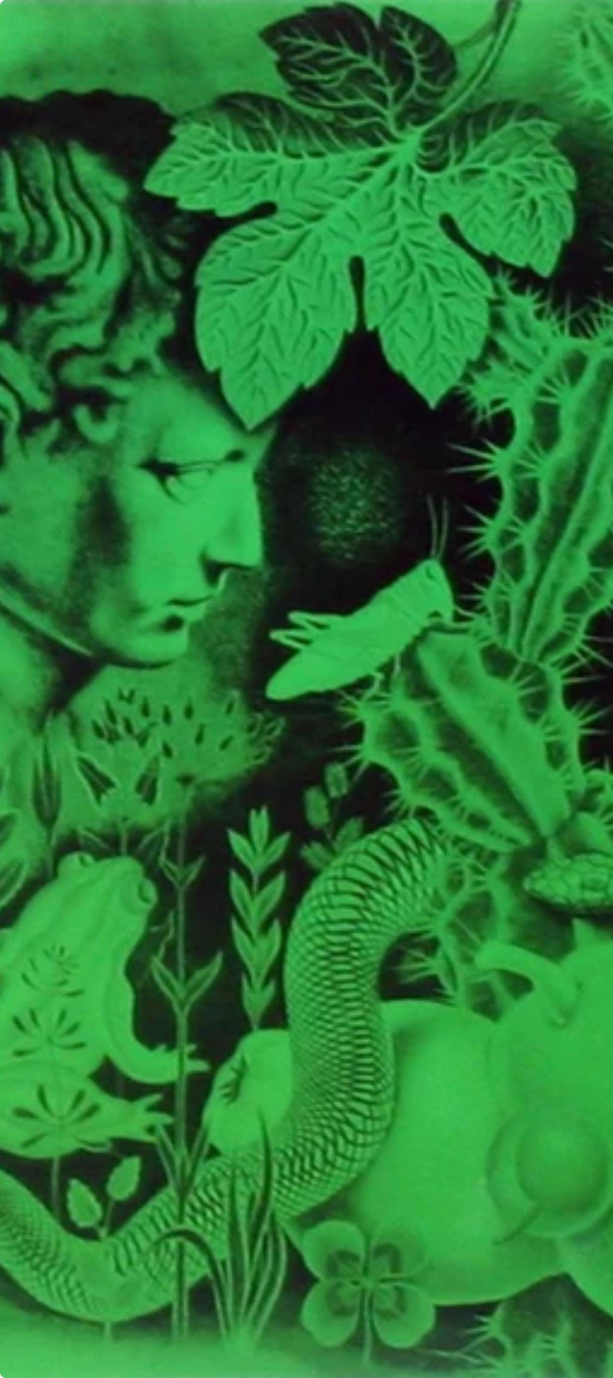 Victor Vasarely, Composition, Graphismes Ii, Hliogravure