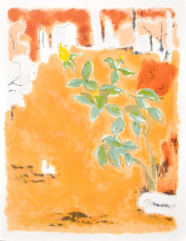 Jules Cavaills, Composition, Uvres Compltes D'Albert Camus, Lithograph