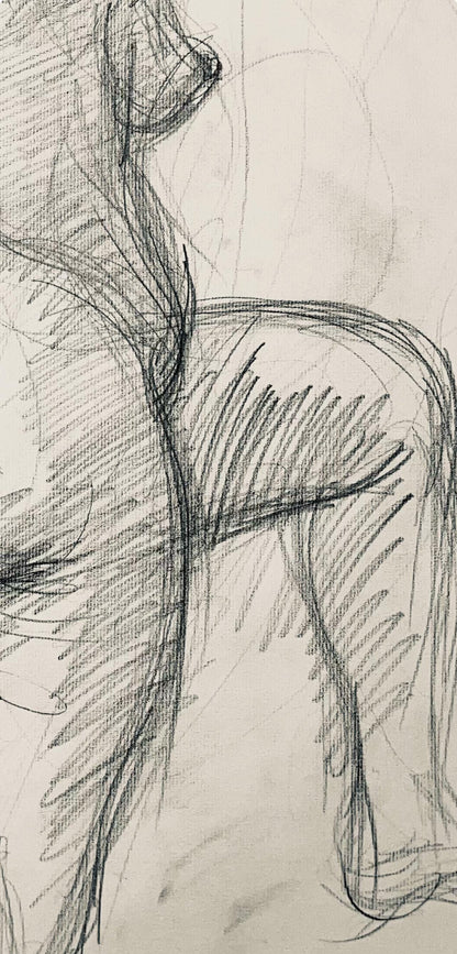 Ian Hornak, Renaissance Female Nude Figure Study, 1963, Original Drawing