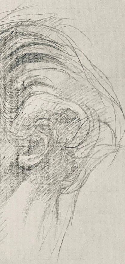 Ian Hornak, Renaissance Male Nude Figure Study, 1963, Original Drawing