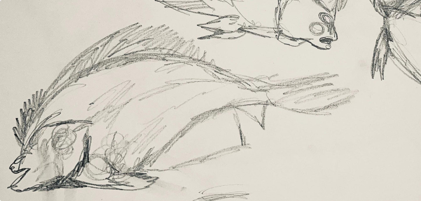 Ian Hornak, Renaissance Fish Study, 1963, Original Drawing
