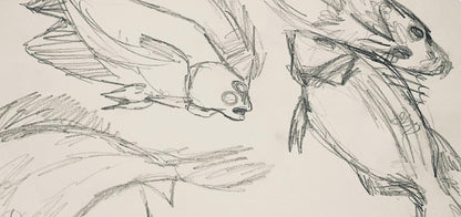 Ian Hornak, Renaissance Fish Study, 1963, Original Drawing