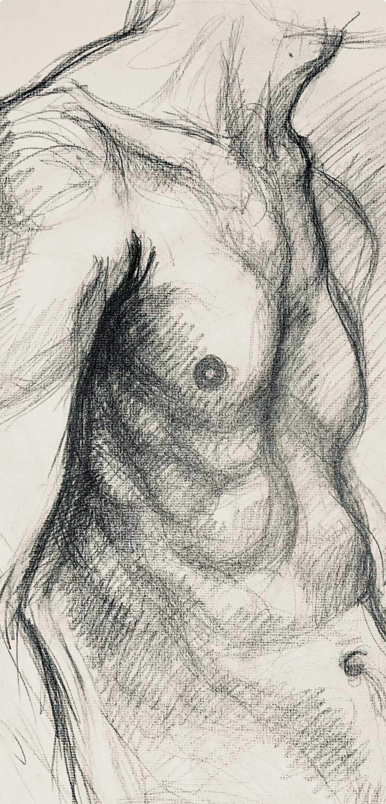 Ian Hornak, Renaissance Male Nude Figure Study, 1963, Original Drawing