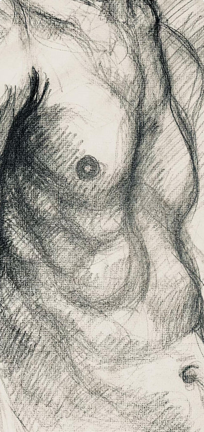 Ian Hornak, Renaissance Male Nude Figure Study, 1963, Original Drawing