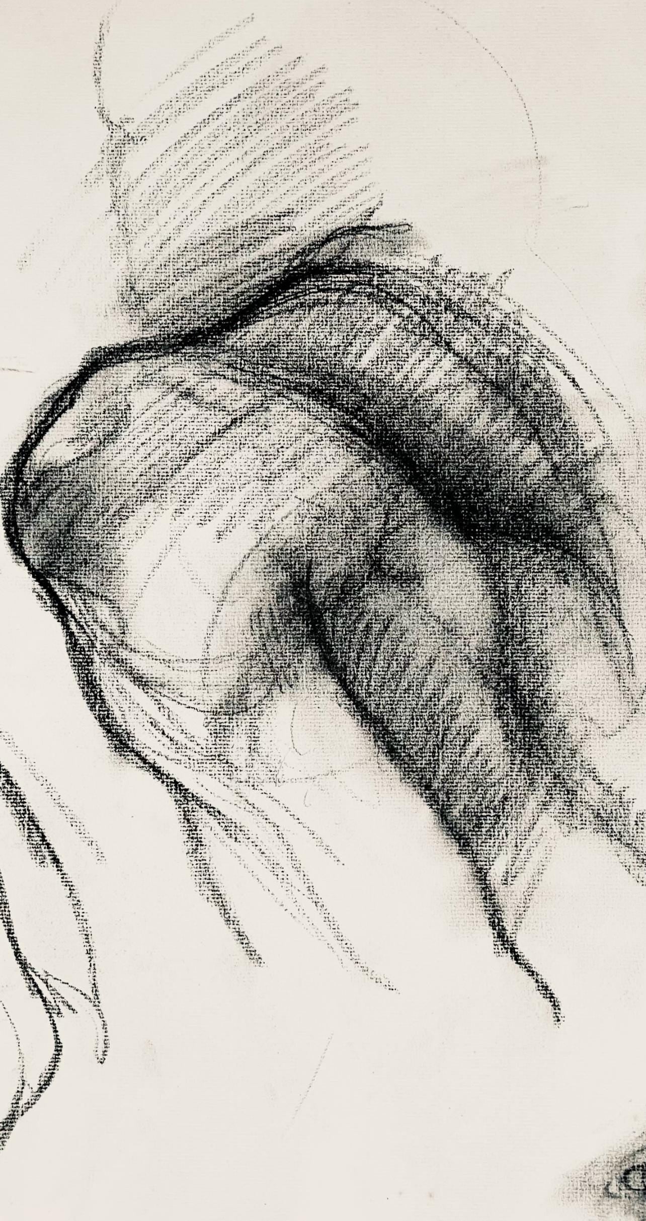 Ian Hornak, Renaissance Male Nude Figure Study, 1963, Original Drawing