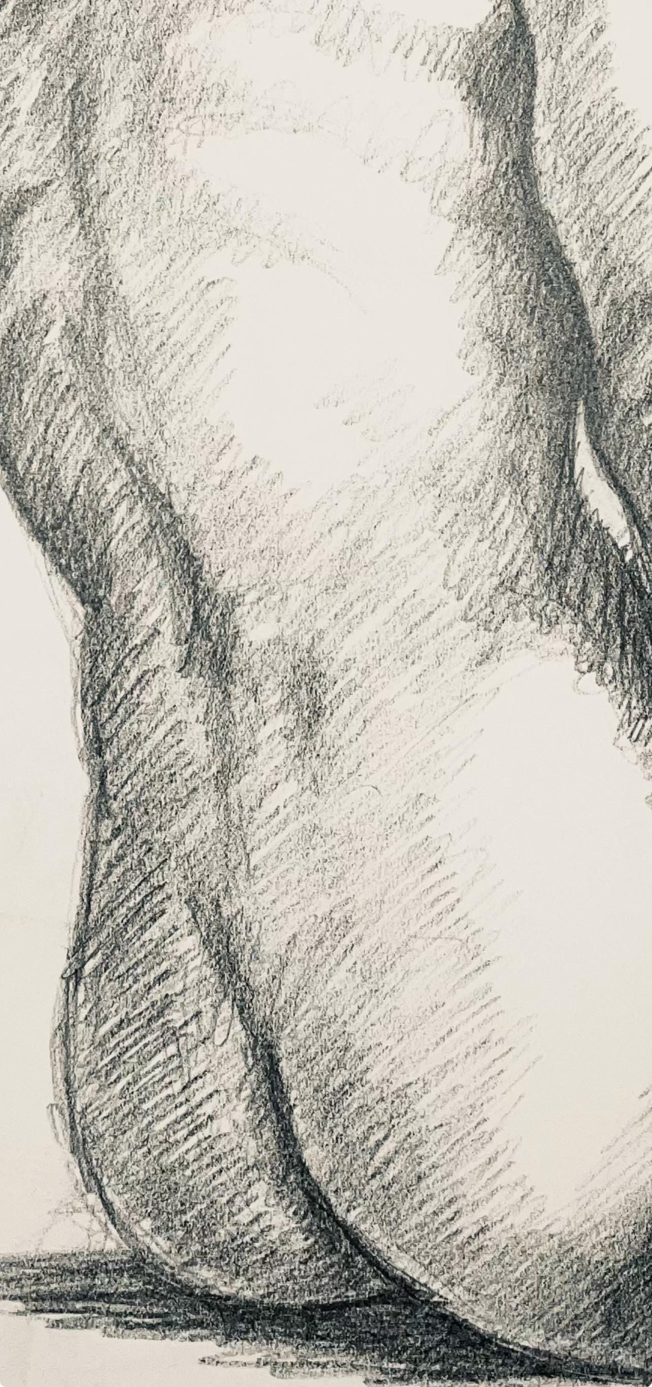 Ian Hornak, Renaissance Female Nude Figure Study, 1963, Original Drawing