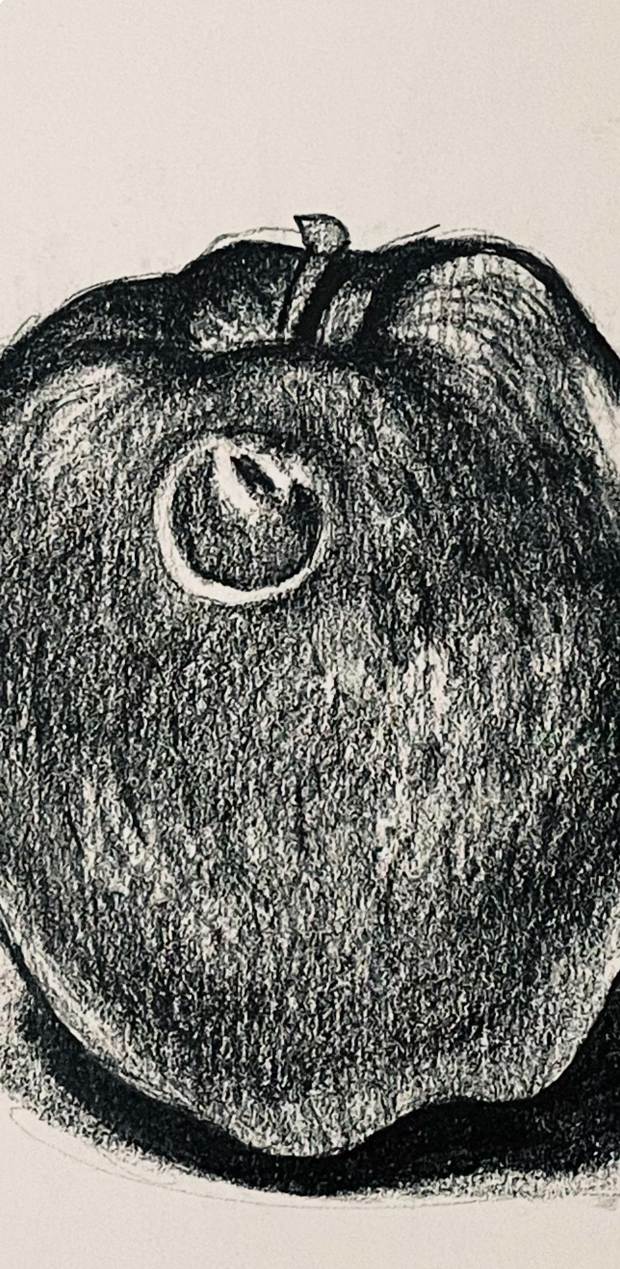 Ian Hornak, Apple Study, 1985, Original Drawing