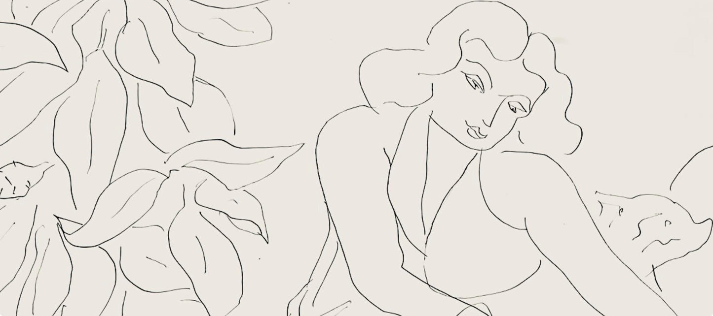 Henri Matisse, Srie E, Var. 11 (Duthuit 9), Henri Matisse, Dessins, Thmes Et Variations, Lithograph