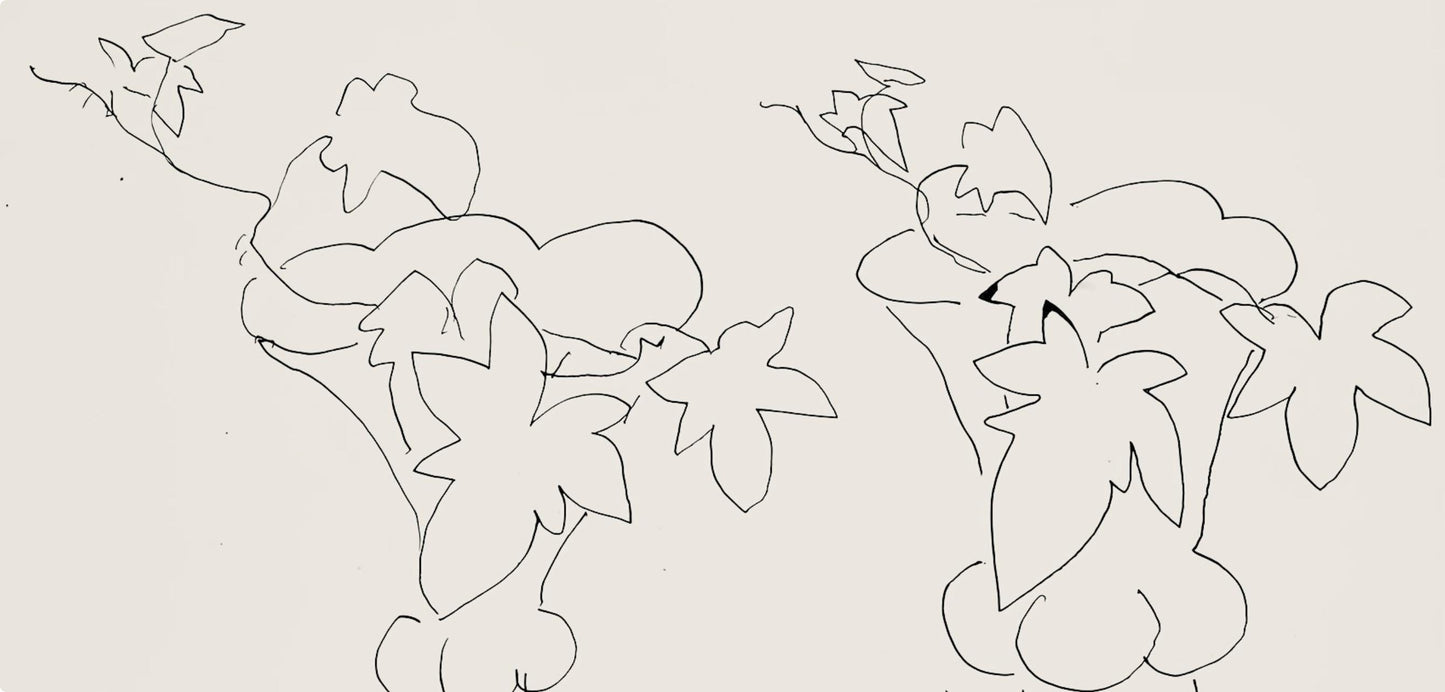 Henri Matisse, Srie H, Var. 2 (Duthuit 9), Henri Matisse, Dessins, Thmes Et Variations, Lithograph