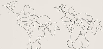 Henri Matisse, Srie H, Var. 2 (Duthuit 9), Henri Matisse, Dessins, Thmes Et Variations, Lithograph