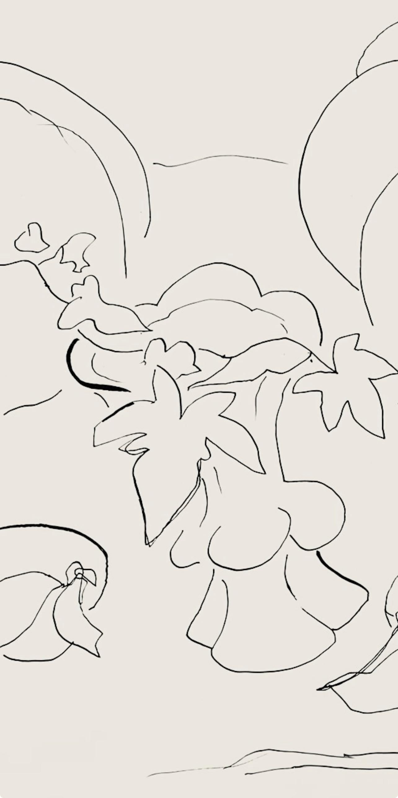 Henri Matisse, Srie H, Var. 7 (Duthuit 9), Henri Matisse, Dessins, Thmes Et Variations, Lithograph