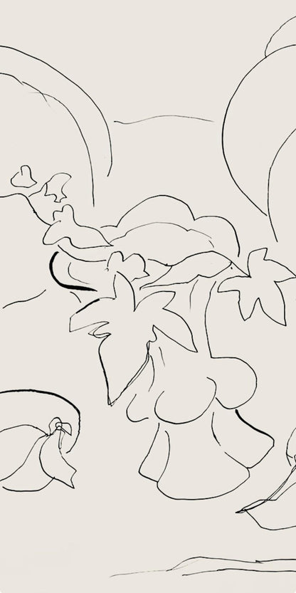 Henri Matisse, Srie H, Var. 7 (Duthuit 9), Henri Matisse, Dessins, Thmes Et Variations, Lithograph