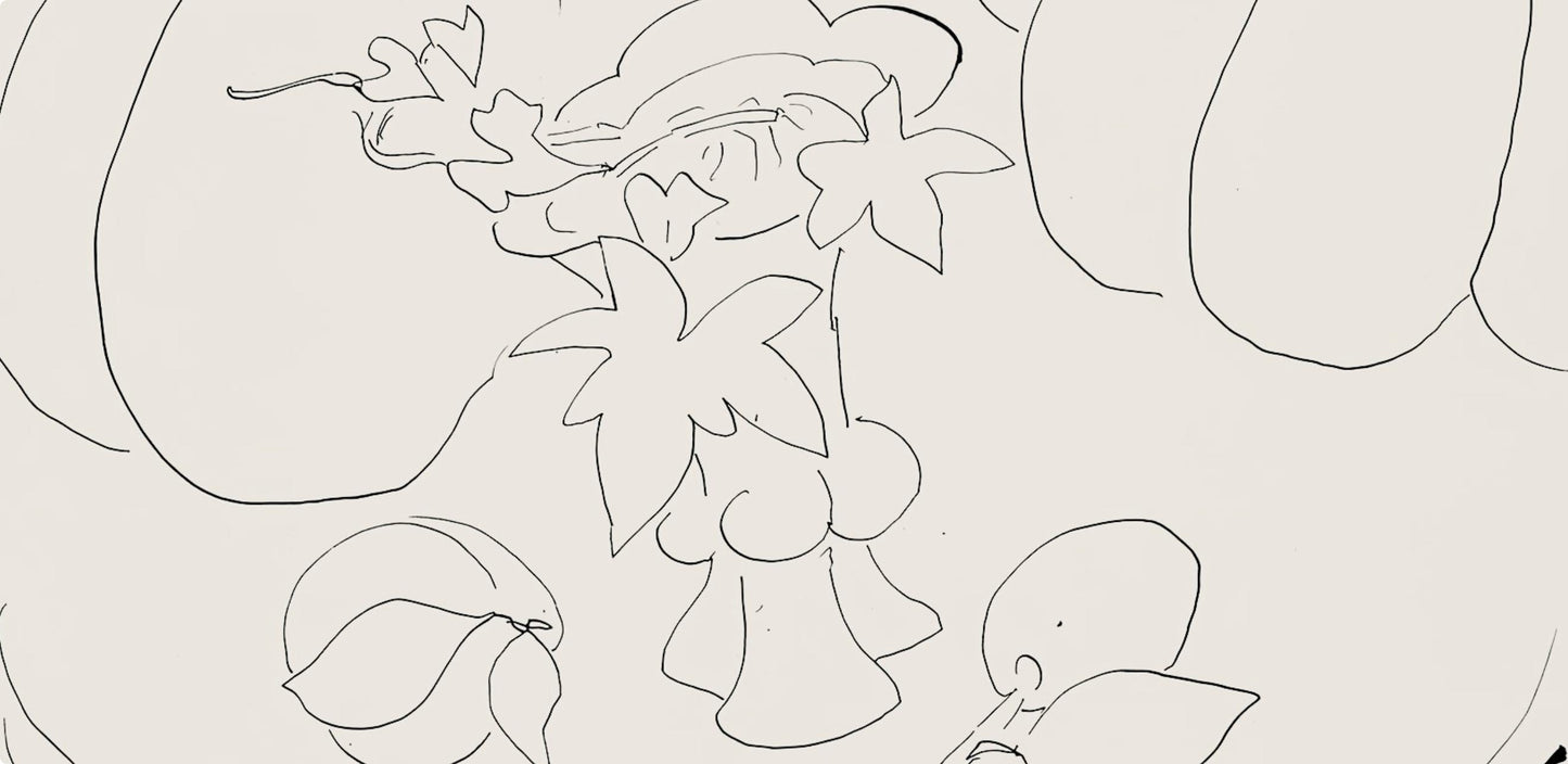 Henri Matisse, Srie H, Var. 8 (Duthuit 9), Henri Matisse, Dessins, Thmes Et Variations, Lithograph