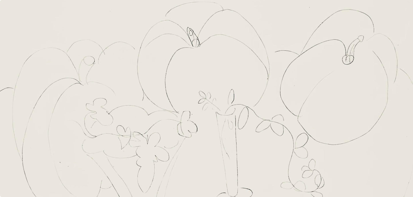 Henri Matisse, Srie H, Var. 11 (Duthuit 9), Henri Matisse, Dessins, Thmes Et Variations, Lithograph