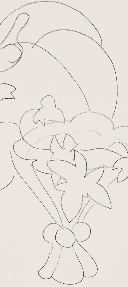Henri Matisse, Srie H, Var. 10 (Duthuit 9), Henri Matisse, Dessins, Thmes Et Variations, Lithograph