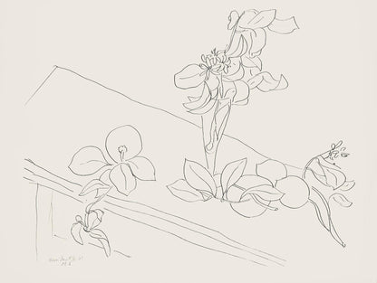 Henri Matisse, Srie M, Var. 2 (Duthuit 9), Henri Matisse, Dessins, Thmes Et Variations, Lithograph