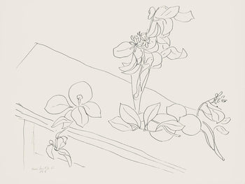 Henri Matisse, Srie M, Var. 2 (Duthuit 9), Henri Matisse, Dessins, Thmes Et Variations, Lithograph