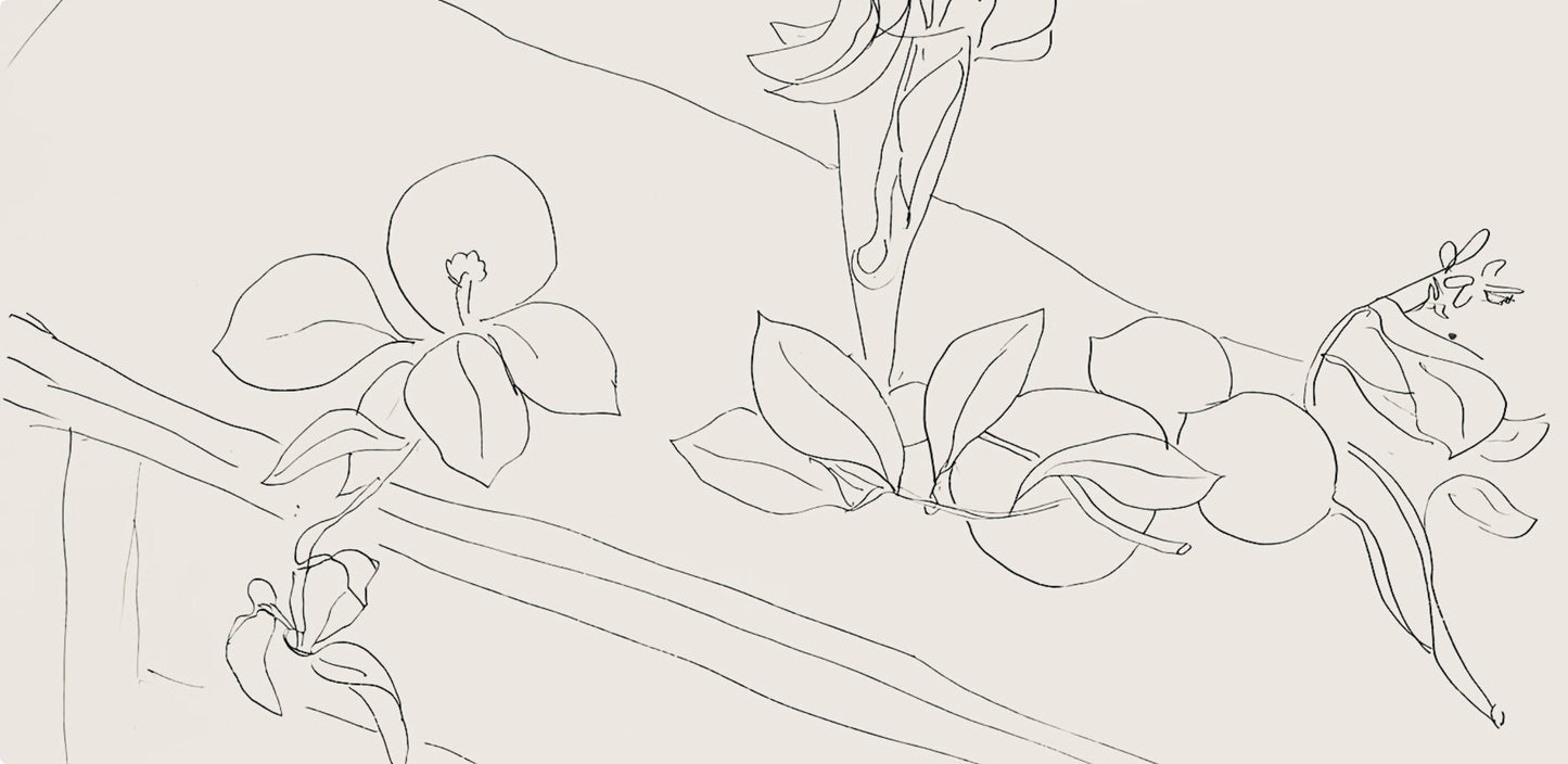 Henri Matisse, Srie M, Var. 2 (Duthuit 9), Henri Matisse, Dessins, Thmes Et Variations, Lithograph