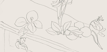 Henri Matisse, Srie M, Var. 2 (Duthuit 9), Henri Matisse, Dessins, Thmes Et Variations, Lithograph