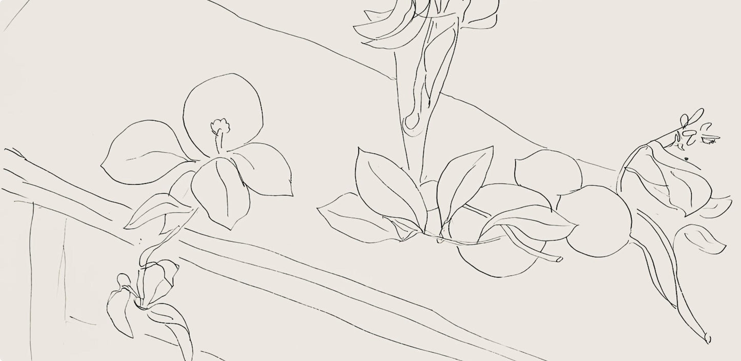 Henri Matisse, Srie M, Var. 2 (Duthuit 9), Henri Matisse, Dessins, Thmes Et Variations, Lithograph