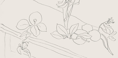 Henri Matisse, Srie M, Var. 2 (Duthuit 9), Henri Matisse, Dessins, Thmes Et Variations, Lithograph