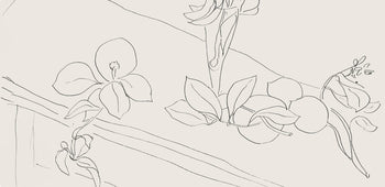 Henri Matisse, Srie M, Var. 2 (Duthuit 9), Henri Matisse, Dessins, Thmes Et Variations, Lithograph