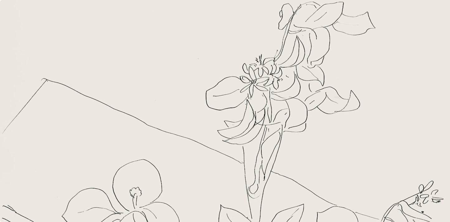 Henri Matisse, Srie M, Var. 2 (Duthuit 9), Henri Matisse, Dessins, Thmes Et Variations, Lithograph