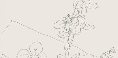 Henri Matisse, Srie M, Var. 2 (Duthuit 9), Henri Matisse, Dessins, Thmes Et Variations, Lithograph