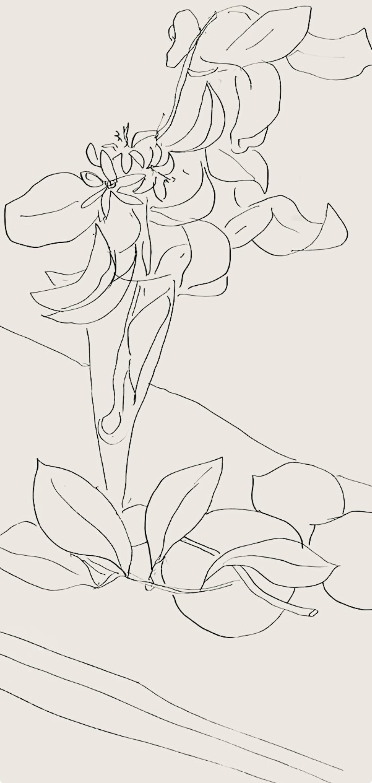 Henri Matisse, Srie M, Var. 2 (Duthuit 9), Henri Matisse, Dessins, Thmes Et Variations, Lithograph