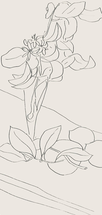 Henri Matisse, Srie M, Var. 2 (Duthuit 9), Henri Matisse, Dessins, Thmes Et Variations, Lithograph