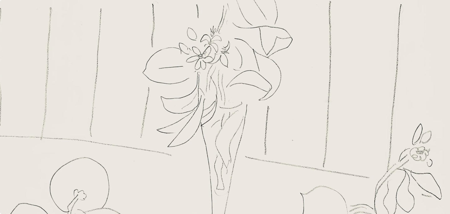 Henri Matisse, Srie M, Var. 5 (Duthuit 9), Henri Matisse, Dessins, Thmes Et Variations, Lithograph