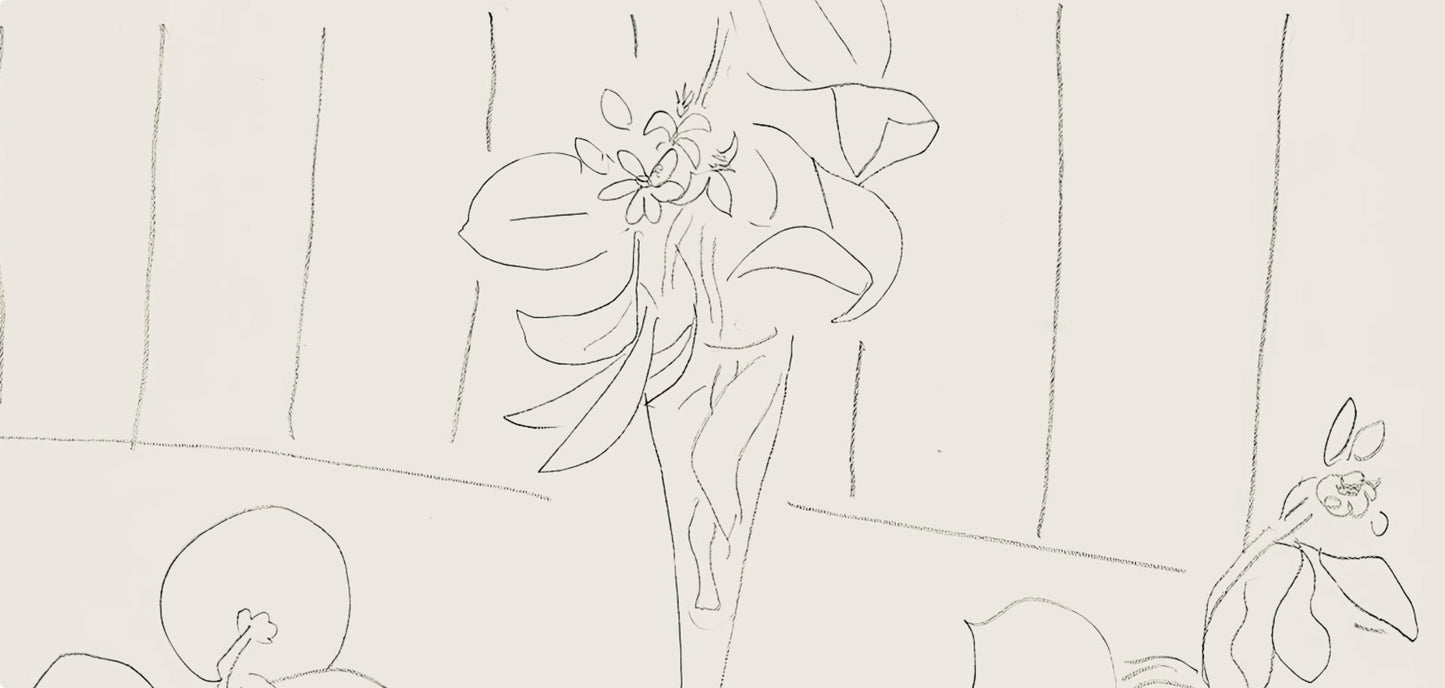 Henri Matisse, Srie M, Var. 5 (Duthuit 9), Henri Matisse, Dessins, Thmes Et Variations, Lithograph