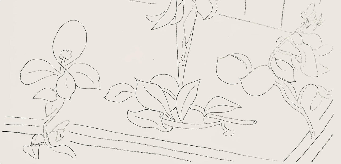 Henri Matisse, Srie M, Var. 4 (Duthuit 9), Henri Matisse, Dessins, Thmes Et Variations, Lithograph