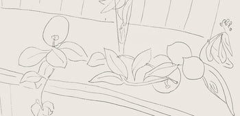 Henri Matisse, Srie M, Var. 5 (Duthuit 9), Henri Matisse, Dessins, Thmes Et Variations, Lithograph